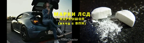 крисы Сосновый Бор