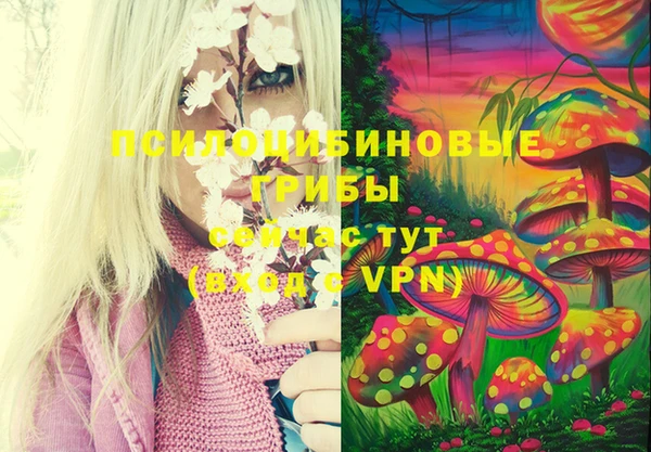 гидра Верхнеуральск