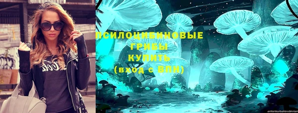 бошки Верхний Тагил