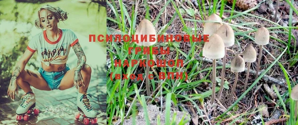 бошки Верхний Тагил