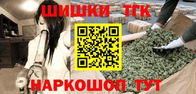 индика Лесосибирск