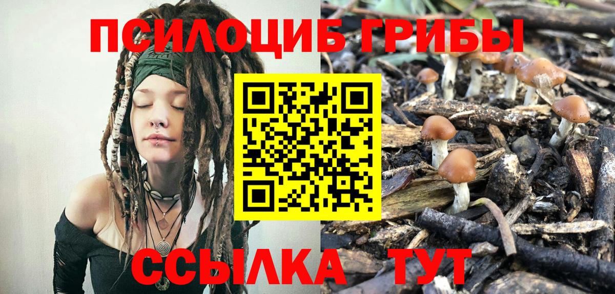 Северск  Псилоцибиновые грибы мицелий  Вход с VPN  где купить наркотик  Галлюциногенные грибы прущие грибы 