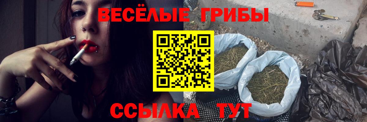 Галлюциногенные грибы Magic Shrooms Северск